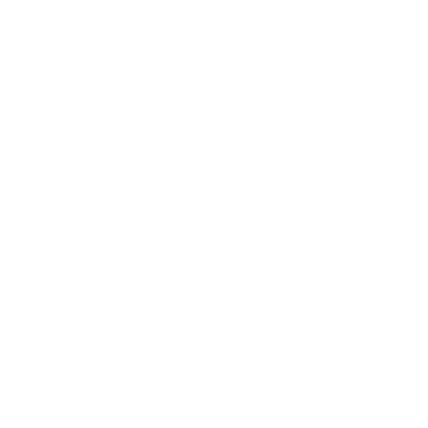 Beauty Concepts